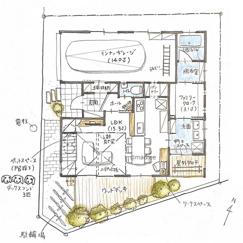 洗濯物が一直線で最短完結、家族とペットが共に過ごす大開口リビングの家